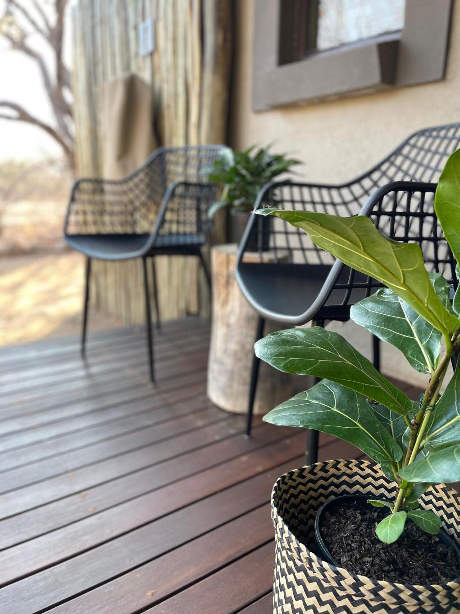 The Baobab Bush Lodge And Villa Hoedspruit Exterior photo